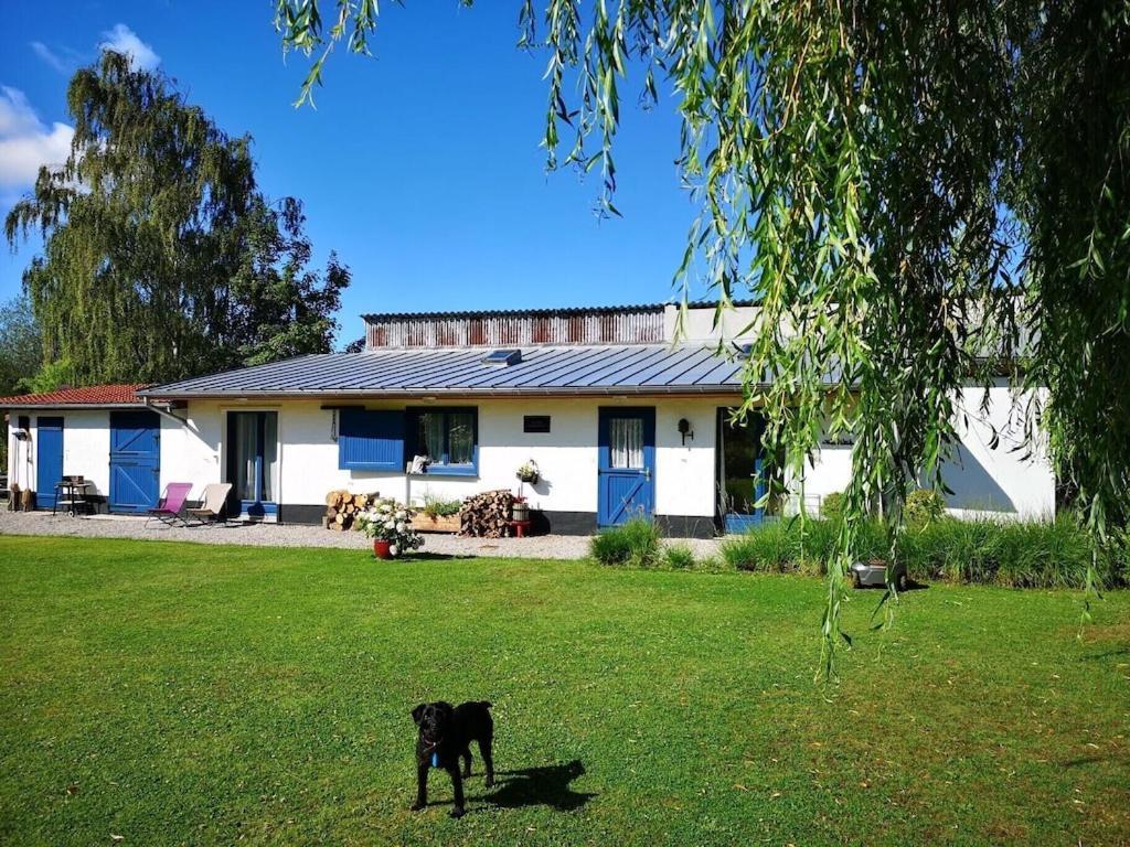 Gite Du Chateau D'Hardelot A Condette Exterior photo